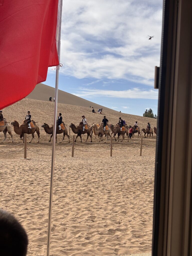 鸣沙山月牙泉的骆驼队